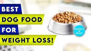 ✅ 5 Best Dog Food For Weight Loss!👌