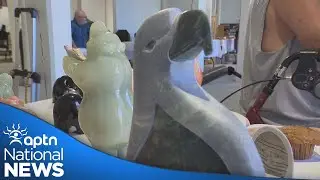 Three days of art, music and reconciliation in Almonte, Ontario | APTN News