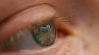 Why Every Cinematographer Needs a Macro Lens | DZO VESPID 90mm Macro