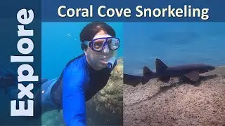 Coral Cove Snorkeling - July 2020