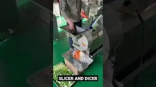 Slicer Dicer