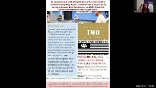 Paws & Stripes Veterans day video1559578611