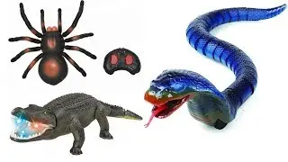 Best Remote Control Toys For Kids and Children in 2019