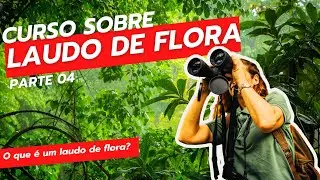 O que é uma laudo de flora - parte 04
