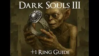 DS3 +1 Ring Guide