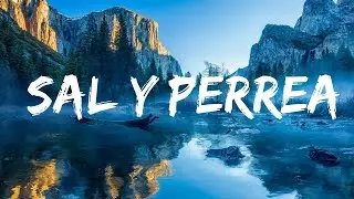 Sech - Sal y Perrea |Top Version