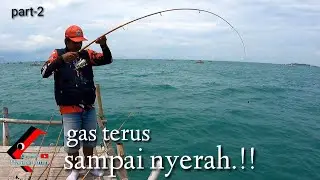 SERU JUGA KALAU MANCING DI BAGAN SEPERTI INI