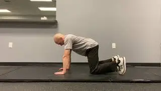 Push Up Plus
