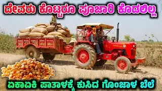 ಏಕಾಏಕಿ ಪಾತಾಳಕ್ಕೆ ಕುಸಿದ ಗೊಂಜಾಳ ಬೆಲೆ | Maize Seeds Market Rate #marketing #maize #maizeseeds #rate 
