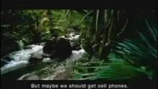 Jungle - Cellular One
