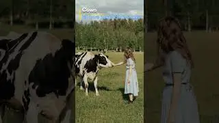 cow amazing facts🧐🧐 #shorts #cow #amazingfacts #interestingfacts