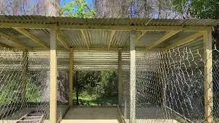 ❗❗Dog kennel coming together 👀