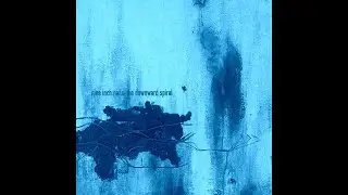 Nine Inch Nails - Mr. Self Destruct (Instrumental)