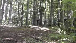 Gripgrab