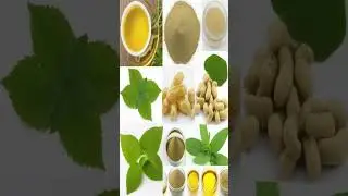 &ldquo;🌿💥 Abaxin Extract: Your Lab&rsquo;s Secret Weapon 💪🔬&rdquo;
