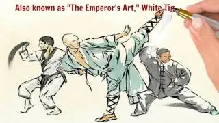 White Tiger Kung Fu - Martial Arts Classes San Diego & Miramar