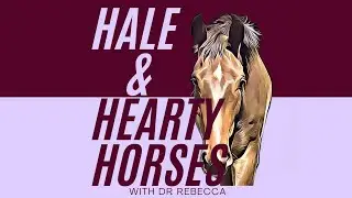 What Is Hale and Hearty Horses? Discover the Podcast for Holistic Horse Care