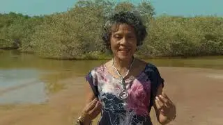 PAPIAMENTO NOS IDIOMA PART 2 - DR. JOYCE PEREIRA