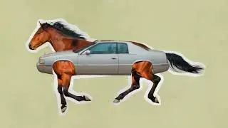 Marvin Sykes - New Whip
