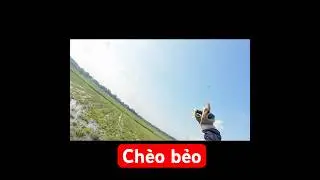 JK-C con ch&egrave;o bẻo số đỏ nhất h&agrave;nh tinhhh #shorts #slingshothunting #slingshot #jkc #disanbangna