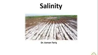 Salinity plant stress physiology