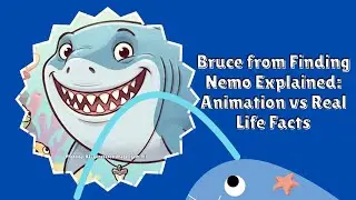 Bruce from Finding Nemo Explained: Animation vs Real Life Facts