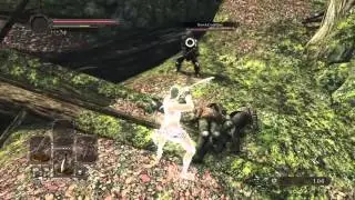 Dark Souls 2 PvP soulmemory 0 soul level 11 invasions