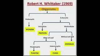 Robert Whittaker classification  1969 #short #shortsvideo #education