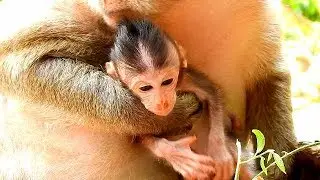 Carla keep Charlee in hand cos afraid Tara steal her baby | Carla is protecting full Charlee