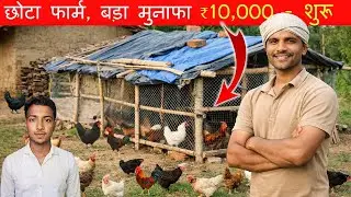 How to start a poultry farm in just ₹10,000 || Low Investment Desi Chicken Farm
