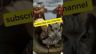 Rescue owl from big giant log #animals #funnyvideo #shortsfeed #shorts #viral