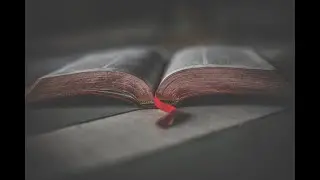 Bible study: 1 Samuel 19