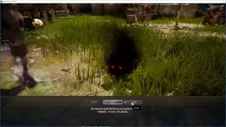 Black Desert
