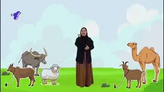 APA ITU IBADAH QURBAN!?