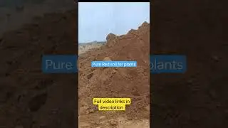 pure Red soil and home make neem powder for plants