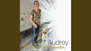 Blind Vertrouwen