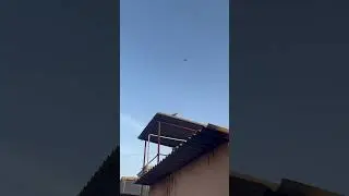 Fly #trending #aesthetics #aestheticvideo #cinematicvideo #india #tcl #instagram #reels #birds #ig