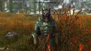Inigo's Reactions On Absorbing Dragon Soul. Skyrim Anniversary Edition