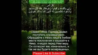 Коран Сура Аль Араф | 7:29 | Чтение Корана с русским переводом |Quran Translation #quranrecitation
