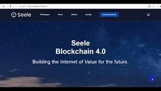 Обзор проекта Seele - проблемы и решения