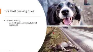 Ticks, Lyme & Other Tick-Borne Diseases in CNY   Byrne Dairy Education Session