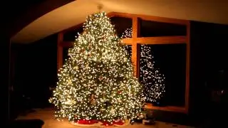 Amazing Grace Christmas Tree Light Show - Techno - Wawra  2012 HD