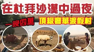 體驗在沙漠中過夜!!水比油貴的杜拜，沙漠裡竟然有溫控泳池!Al maha