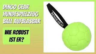 BEWERTUNG (2026): Dingo Gear Hundespielzeug Ball aufblasbar. Infos
