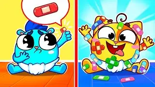 Canção do Curativo! 🩹 Canções Divertidas para Crianças 😻🐨🐰🦁 Baby Zoo