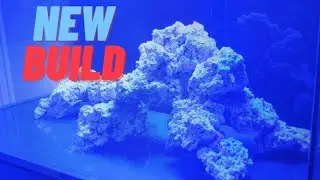 New build - Red Sea Reefer 425XL - I AM BACK!