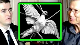 A case against Anarchy | Yaron Brook and Lex Fridman