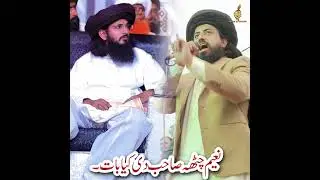 Chief TLP Hafiz Saad Hussain Rizvi About Naeem Chattha Qadri - Khai Sharif Mandi Bahauddin TLP Jalsa