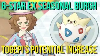 6-STAR EX BURGH + TOGEPI Potential Increase, Showcase and Gameplay feat. SEASONAL SKYLA + TOGEKISS