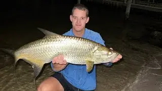 Tarpon Fishing the Stuart Causeway (2025 Mullet Run Video) 